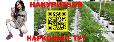 кокс Краснодар