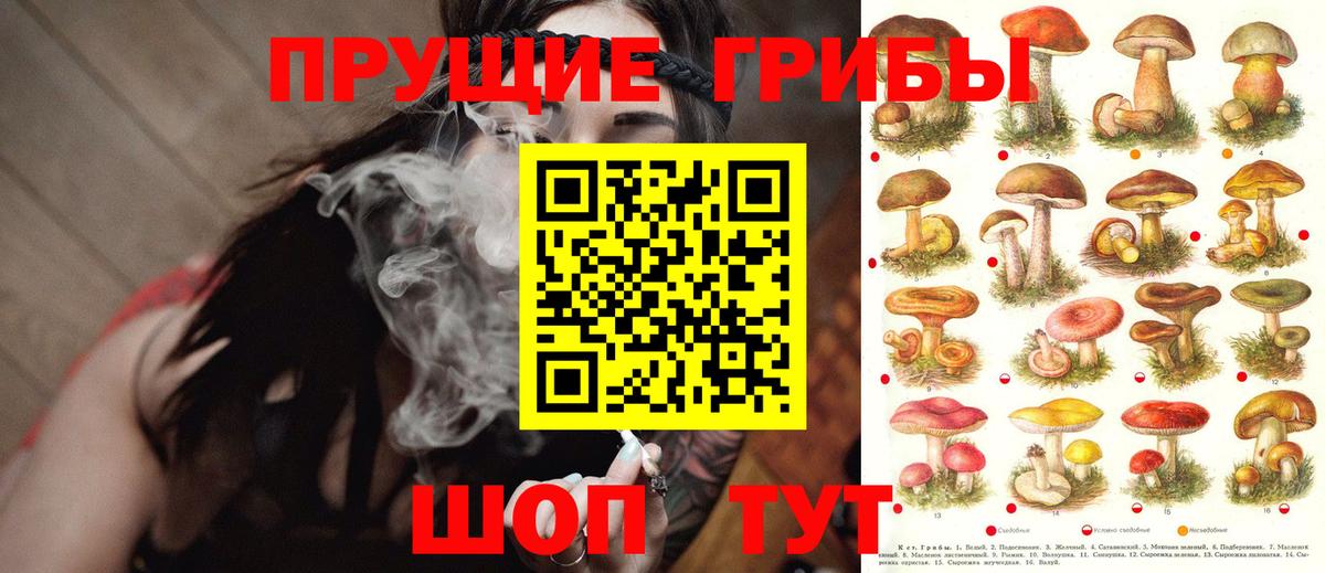 Псилоцибиновые грибы Psilocybine cubensis Ижевск