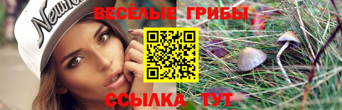 Ижевск  Галлюциногенные грибы MAGIC MUSHROOMS  Вход с VPN 